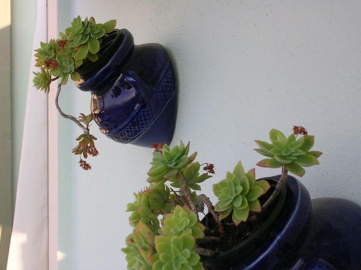 Apartman Lavanda Sutivan Eksteriør billede
